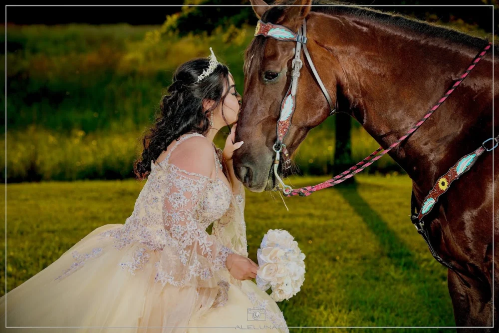 AleLuna Studio LLC