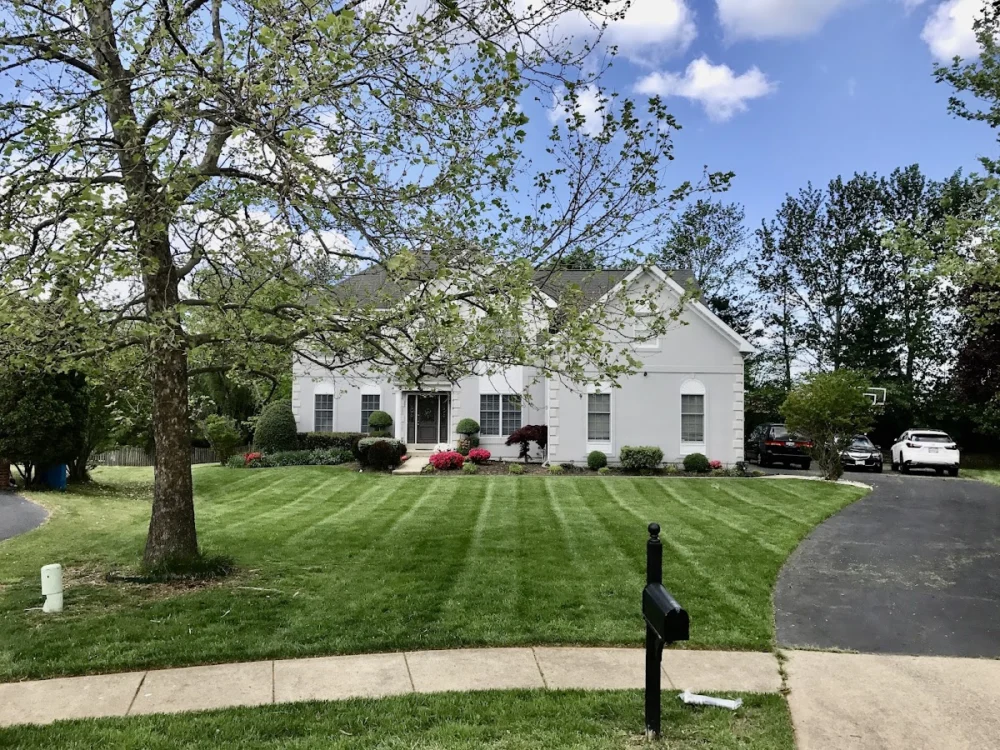 ASHBURN LAWN SERVICES