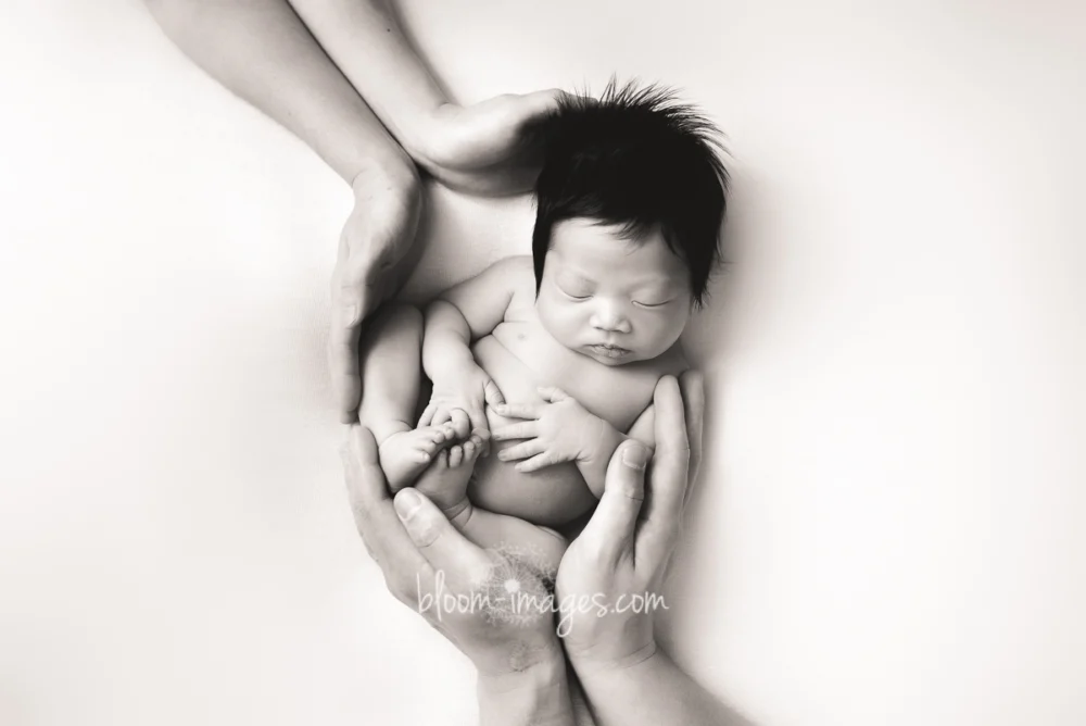 Bloom Images Photography