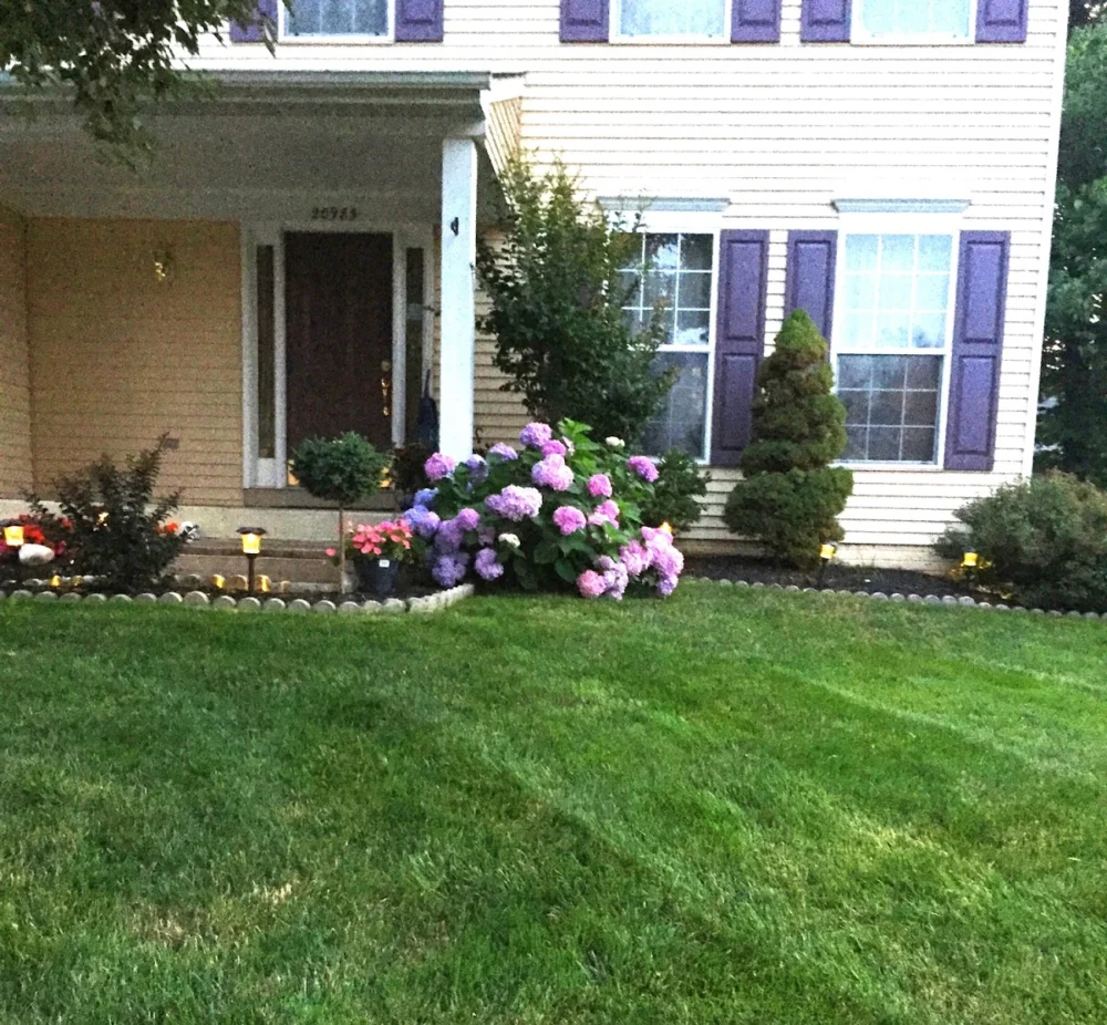 Broadlands Landscaping LLC
