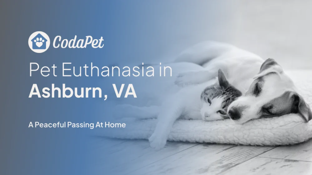 CodaPet - Ashburn