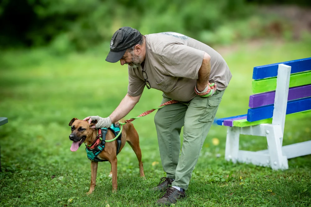 Friends of Homeless Animals