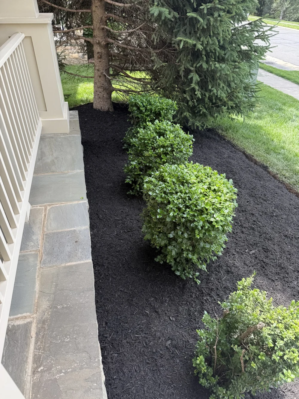 J & J Services LLC