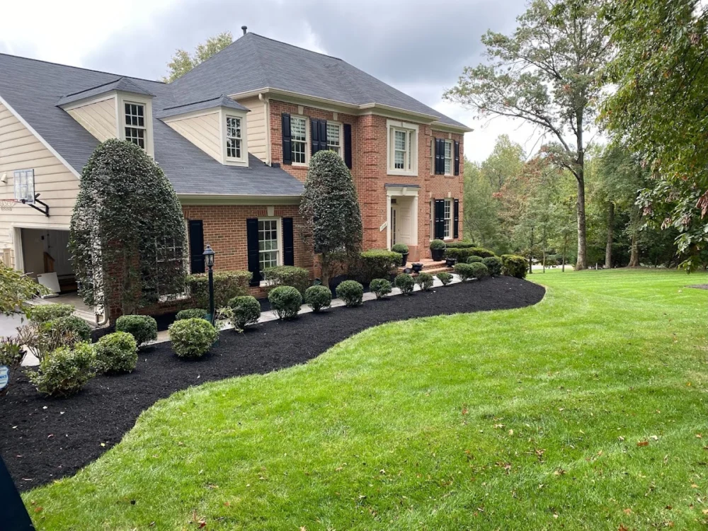 JM Landscaping & Tree Service