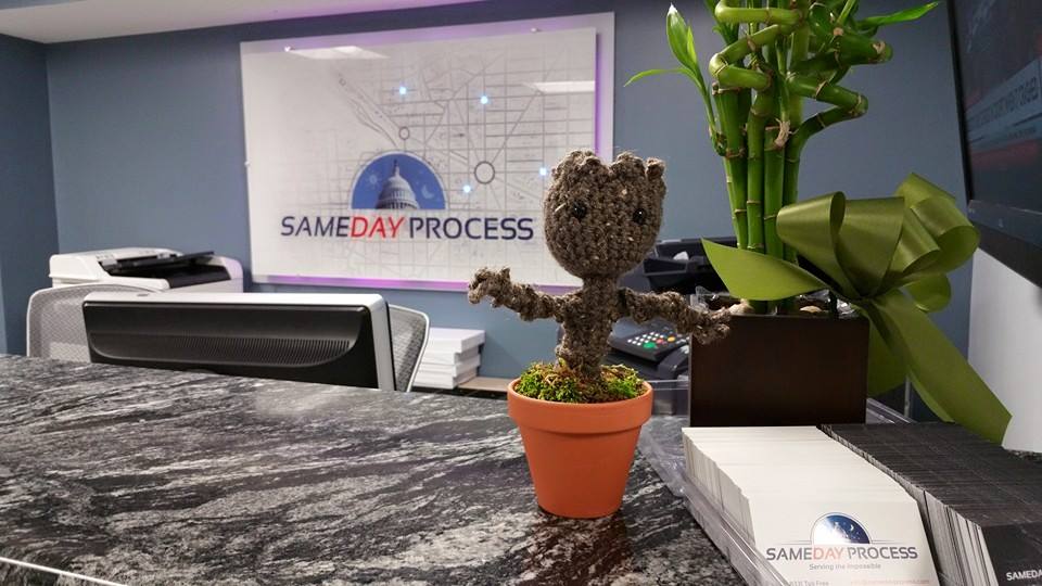 Same Day Process