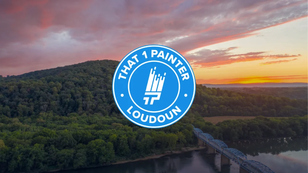 That 1 Painter Loudoun
