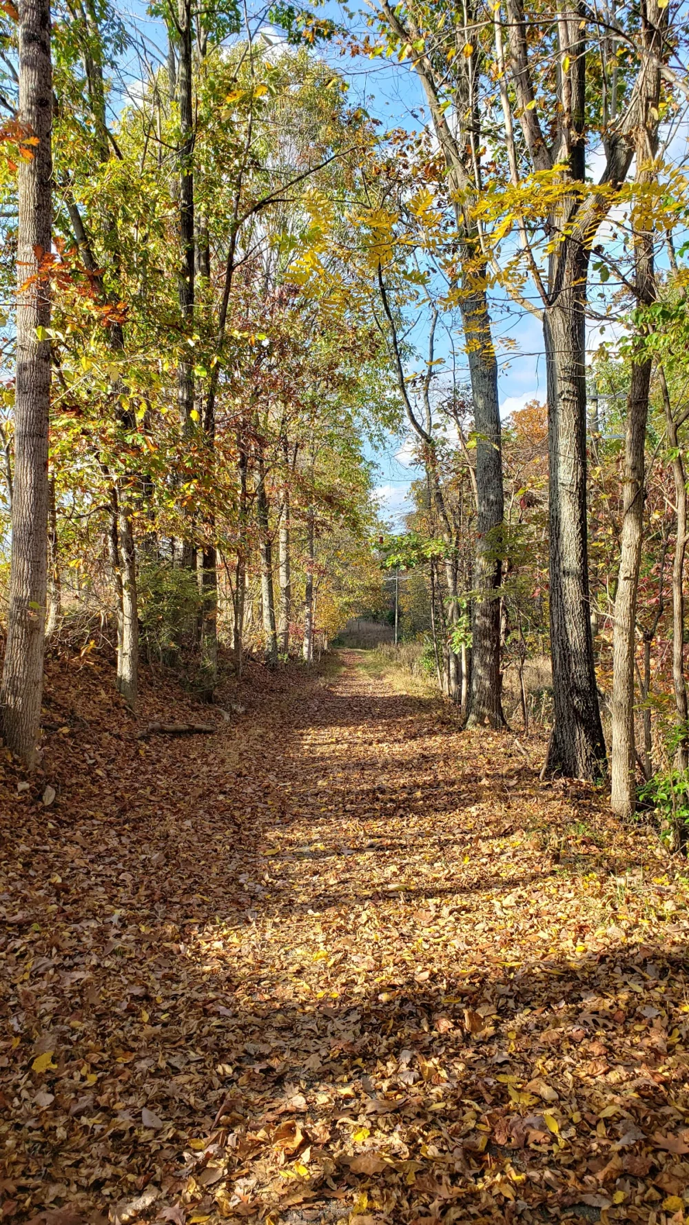 W&OD Trail Parking Belmont Ridge Rd