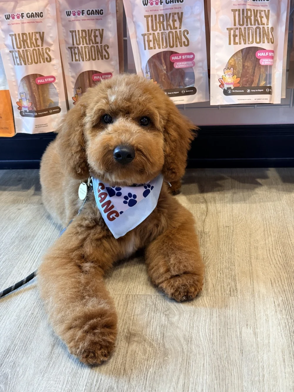 Woof Gang Bakery & Grooming Belmont Chase